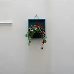 Vidrio Urban *